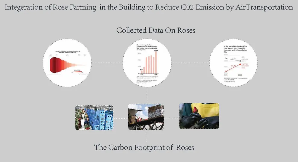 Rose research diagram — carbon-footprint data used to calibrate AI-generated environmental diagrams